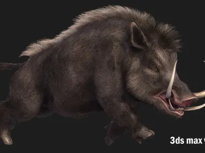 boar pig beast  Low-poly 3D model