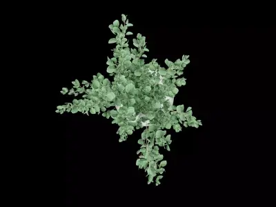 Plant Pot Decor Free 3D model