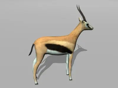 gazelle Low-poly 3D model
