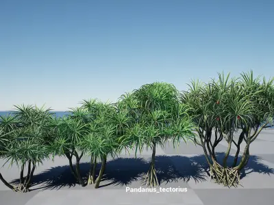 HQ Plants Volume 3 Palms for unreal engine 3D model set of 24 3D model