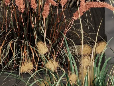 INDOOR PLANT SET 10 3D model