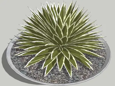 deco plants containers Low-poly 3D model