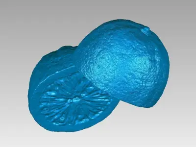 Real Lemon Fruit Cut in Two Pieces High Detail 3D Scan 3D print model