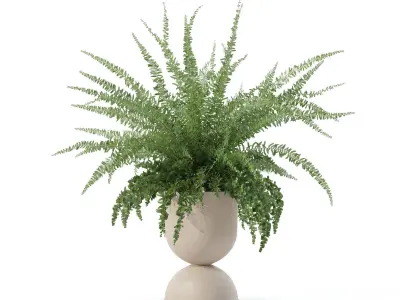 Fern in modern flower pot 3D model