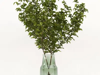 Branches in a vase 002 3D model