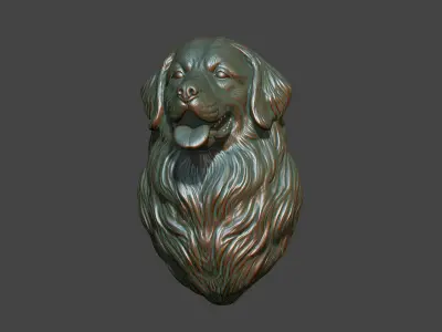 Bernese Mountain Dog 3D print model