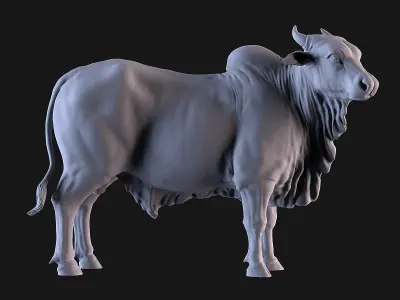 Bulls Pack 3D print model