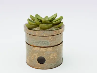 Rustic Steel Succulent Pot 3D model