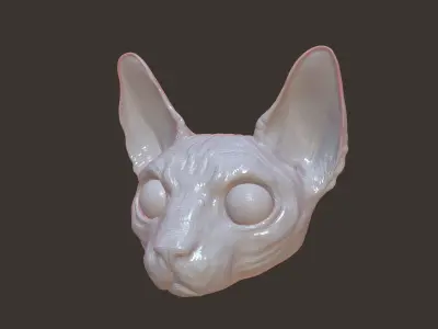 Cat Sphynx Head  3D model