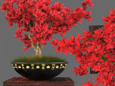 chinese tree plant 3D model