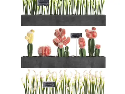 Cactus set wall decor vertical garden 45 3D model