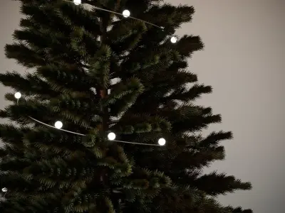 New Year Tree Free 3D model