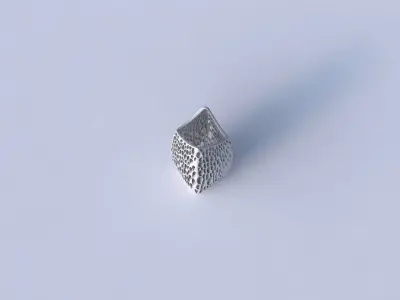 Vase double arc rectangle with organic lattice and twisted th... 3D print model