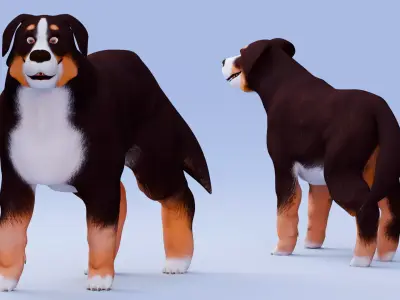 Low poly - Stylized dog - Bernese Mountain Dog Low-poly 3D model