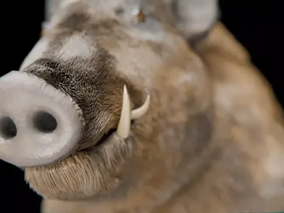 Realistic Wild Boar High-Quality 3D Model Low-poly 3D model