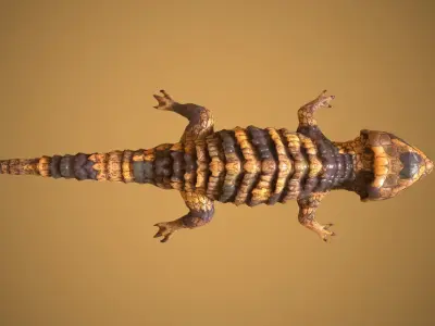 Lizard Low-poly 3D model