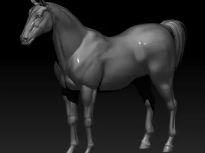 Horse 3D model
