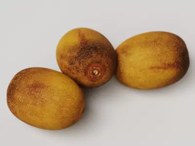 Golden Kiwi 3D model