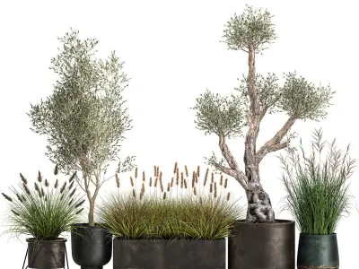 Outdoor plants in a rust flowerpot for the interior 1000 3D model