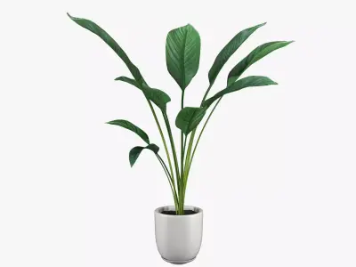 Pot Plant 20 3D model