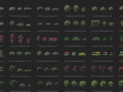 Maxtree Plant Models Vol 44 Low - Mesh 3D model