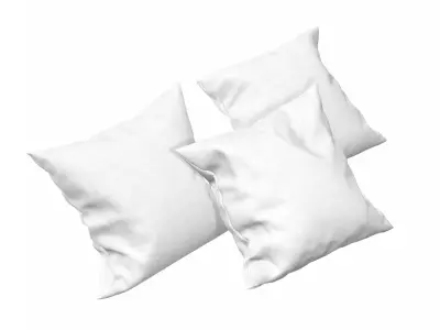 Solid Pillows - set of 3 3D model