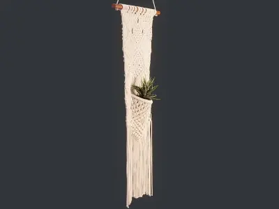 Macrame with Succulent Plant 3D model