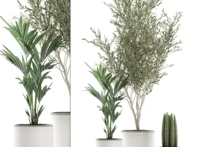 Decorative plants in flowerpots 651 3D model