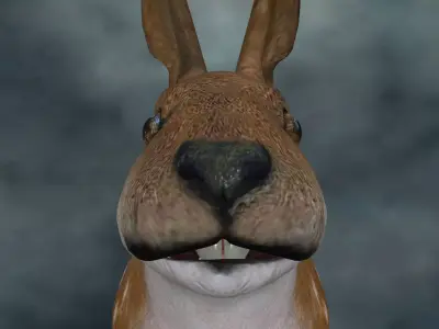 RABT-002 Rigged Rabbit Low-poly 3D model