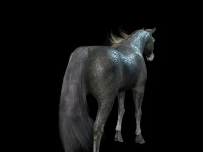 ARABIAN HORSE PUREBLOOD WILD WORLD PONY 2 GREY Low-poly 3D model