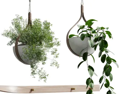 wall plant - set Indoor plant 483 hanging plants on shelf  3D model