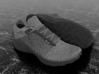 SALOMON S LAB 3D SHOES Low-poly 3D model