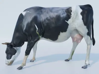 Cow Hair and Fur Low-poly 3D model