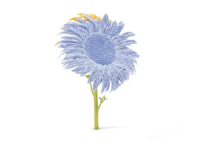 Golden Sunflower model pack Low-poly 3D model