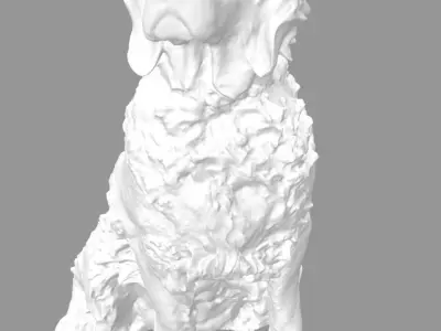 Cocker spaniel 3D model