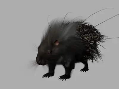 porcupine 3d model fur 3D model