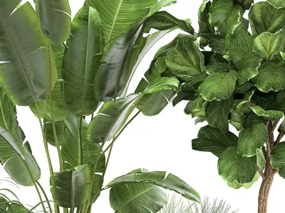 Plants in a metal flowerpot for the interior 1079 3D model