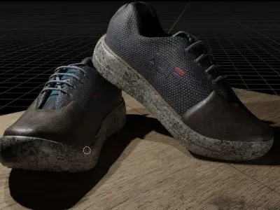 Sneakers pair of shoes 3D model