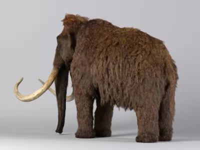 Mammoth-Rig-Maya woolly mammoth 3D model