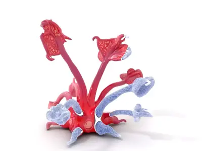 Mystical Pink Flora model pack Low-poly 3D model