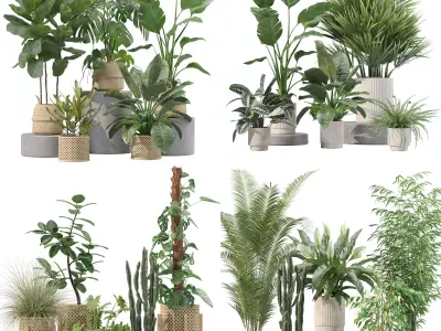 20 Photorealistic Flowers for Interiors - set 203 205 207 209 3D Model Collection