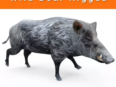 Black Wild Boar Rigged and Animated 3D Models Low-poly 3D model
