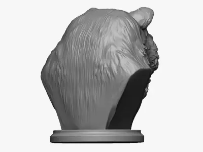 bear head bust 3D print model