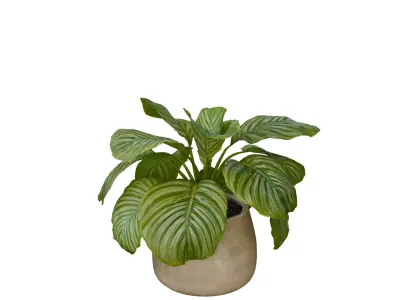 10 Realistic Indoor Plants Pack Interior Decoration Assets 3D model