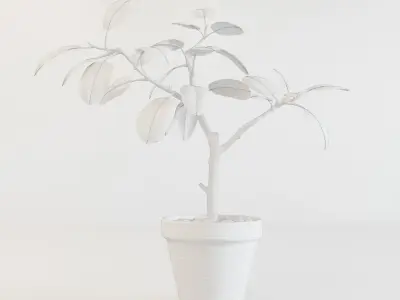 Ficus altissima 3D model
