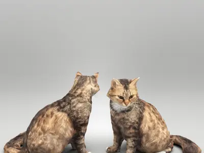 Fluffy cat 28 Low-poly 3D model