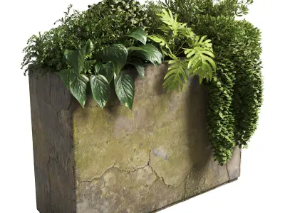 collection outdoor plant 21 concrete old vase bax pot Low-poly 3D model