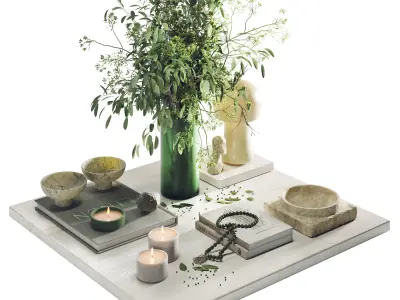 Decoration set shuba 3 3D model