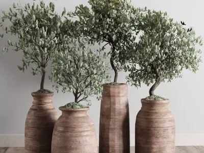 collection outdoor plant 19 -wood old vase Low-poly 3D model