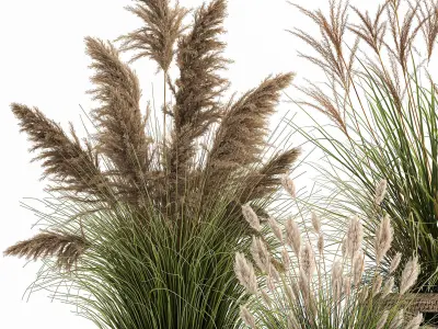 Ornamental plants in rattan baskets 1024 3D model